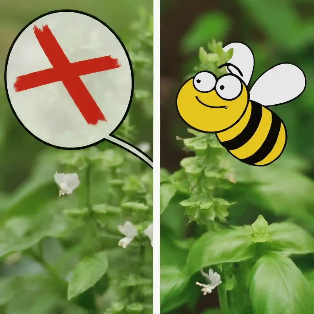 Does Basil Keep Bees Away