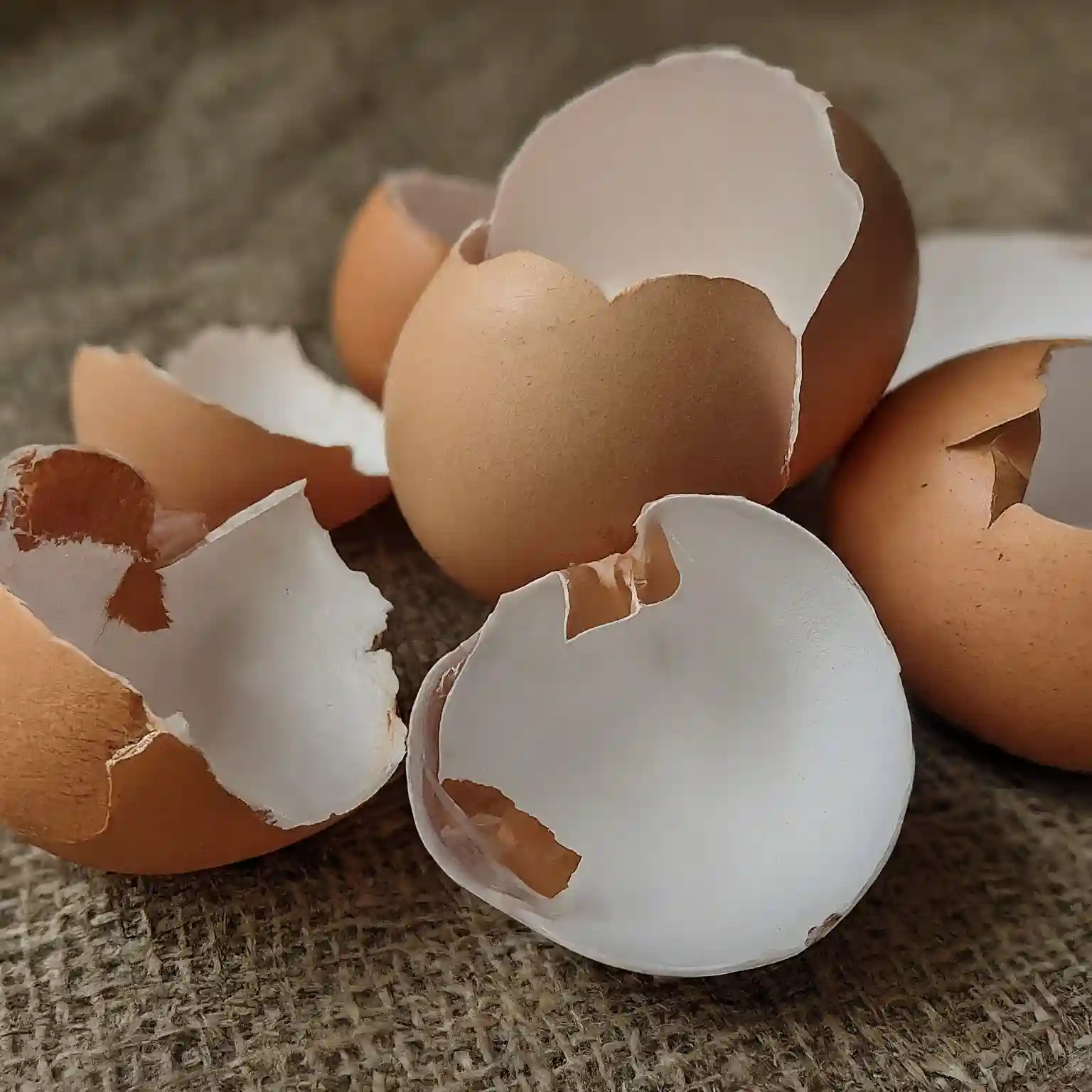 Are eggshells good for basil plants