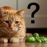 is basil bad for cats