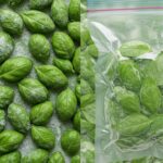 Can I freeze basil leaves whole